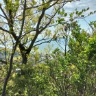 主郭手前の削平地からの眺望