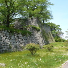 竹の丸東面の高石垣