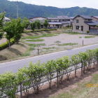 二の丸復元土塁上より南方向三日月堀跡周辺？