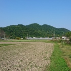 初夏