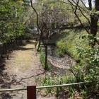 東面南側土塁と堀