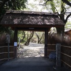 正門