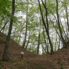 鎌刃城