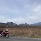 戦場ヶ原