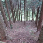 鎌刃城