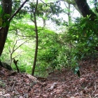 二重堀切の一条