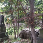 大田区最古の狛犬