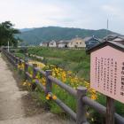 千本松（野橋立）跡