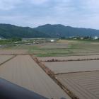 亀山城と保津川の間の水田