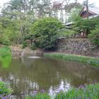 万祥池（内堀跡）と復元された石垣。カキツ