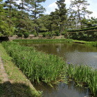 内堀の一部
