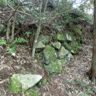 本丸北斜面の石垣