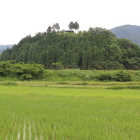 上林城遠望、北側より