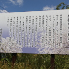 県道沿いに在る桑折城址(館山)案内板
