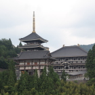 但馬大佛伽藍を遠望する
