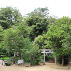雷神社境内に在る別宮神社御神木