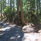 本曲輪西の堀と土壇？現神社