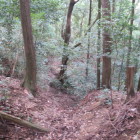 東側ウネウネの一部