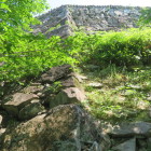 大洲城