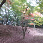 仕切土塁