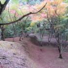 仕切土塁
