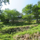 大洲城
