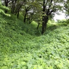 南側堀跡