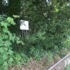 境内北部の土塁