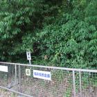 土塁の案内板はあるものの土塁は藪の中…