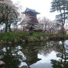 桜追加1