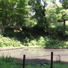 三の丸の箱井戸越しに二の丸登城路を観る