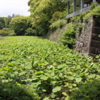 南曲輪二重櫓台と濠