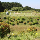 西櫓の全景、西の丸見張台よりの眺望