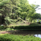 三の丸の田尻の池越しに二の丸登城路を観る