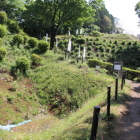 西の丸登城路横の畝掘り、奥は元西櫓切岸