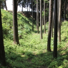 北の丸木橋から西側の横堀と切岸土塁