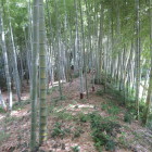 右側土塁上