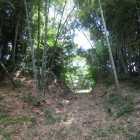 主郭？虎口