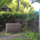 お茶の水
