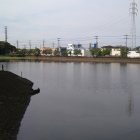 生実池
