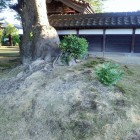 高まり