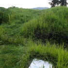 本城の石垣(石積)と虎口