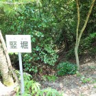 米倉跡手前の竪堀
