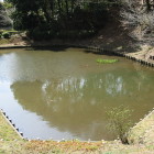 箱井戸