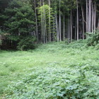 本堂裏手の平地の一部