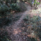 山頂側の道