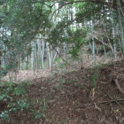 交差点に近い斜面