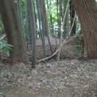 弓道場裏手から下を