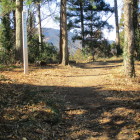 山頂の主郭部