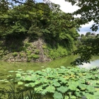 水堀＆石垣